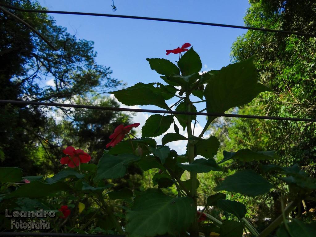 Pousada Passaredo Montanha Ibiúna Exterior foto